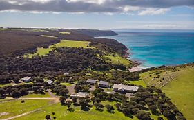 Sea Dragon Kangaroo Island